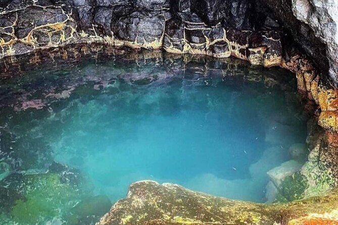 Full-day tour - Salt Mine, Blue Eye, Shark Watch and Kite Beach - FAQ