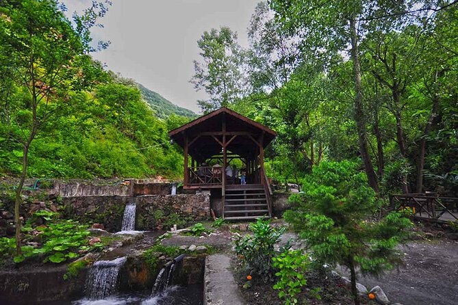 full-day-tour-sapanca-and-masukiye-from-istanbul