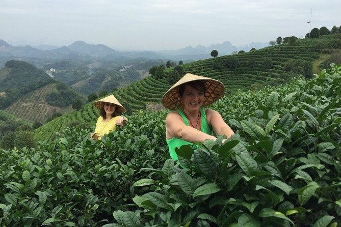 Full-day Tour: Spectacular Sunrise, Tea Plantation & Sunset - Final Thoughts