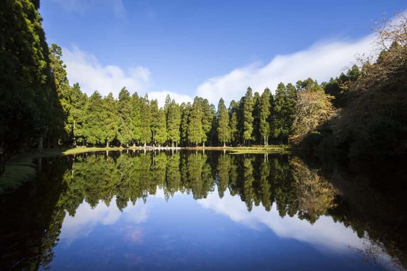 Full-day tour: The best of Terceira Island - A Complete Look at the Experience