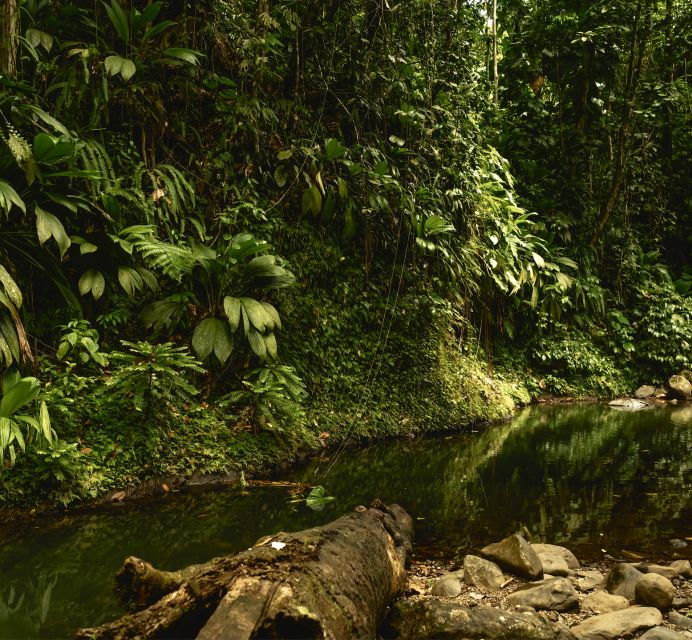full-day-tour-the-best-of-the-island-w-photos-drone-sunset