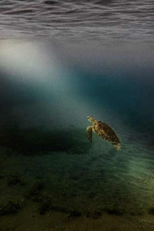 full-day-tour-the-best-of-the-island-w-photos-drone-sunset