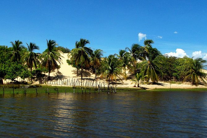 full-day-tour-through-preguicas-river-by-speedboat