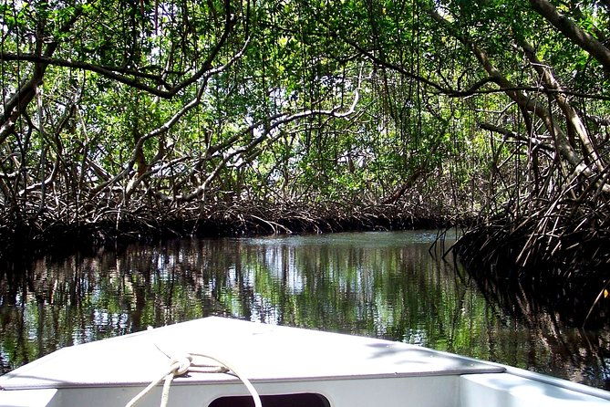 full-day-tour-through-preguicas-river-by-speedboat