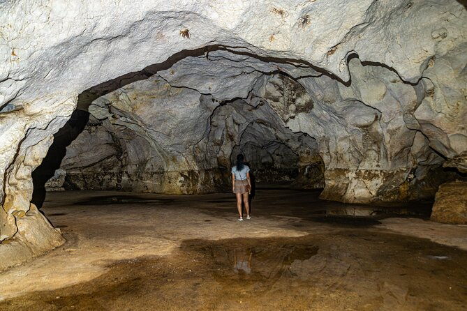 full-day-tour-to-3-dominican-cultures-afro-hispanic-and-taino