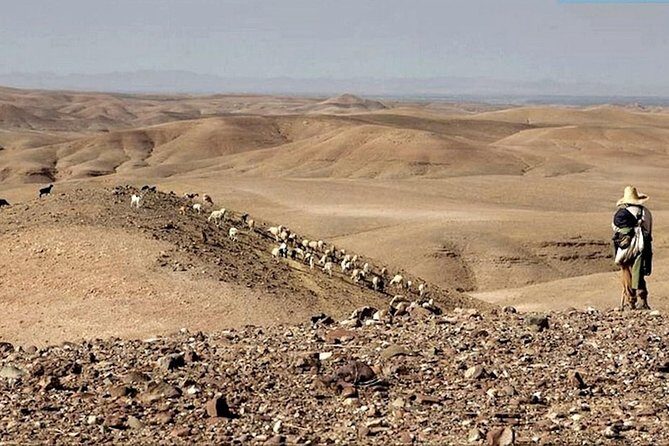 Full Day Tour To Agafay Desert and Atlas Mountains from Marrakech - Pricing & Value