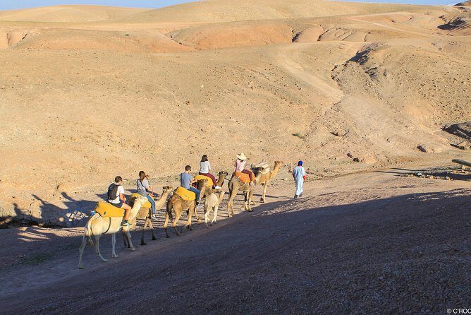 Full Day Tour To Agafay Desert and Atlas Mountains from Marrakech - Who Should Book This Tour?