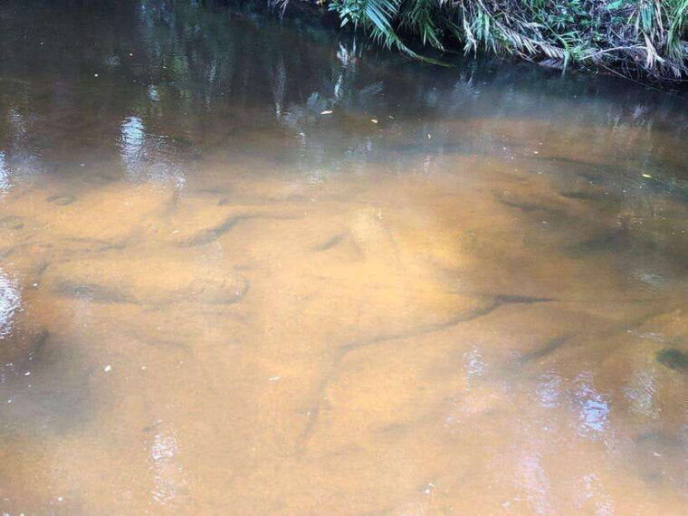 full-day-tour-to-banteay-srey-beng-melea-kulen-mountain