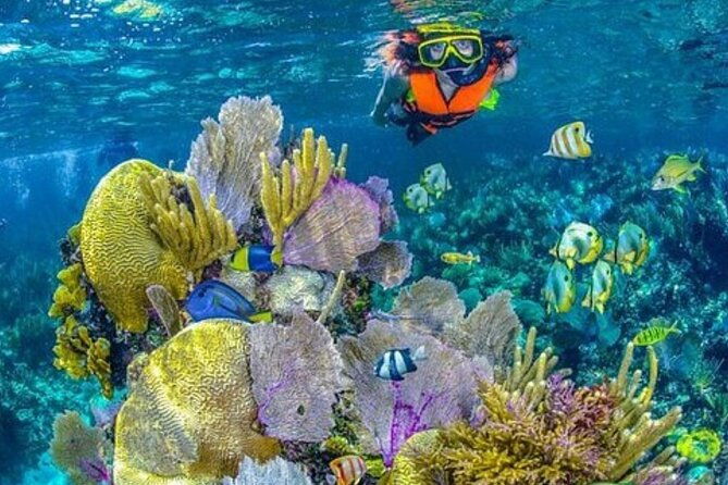 full-day-tour-to-baru-island-by-boat-from-cartagena