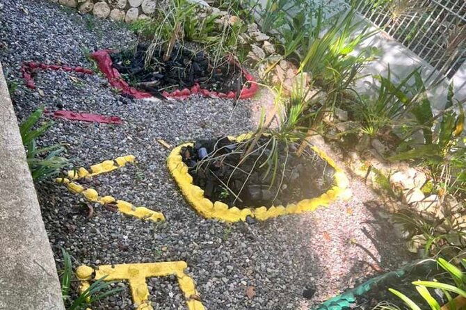 full-day-tour-to-bob-marleys-birthplace-and-dunns-river-falls