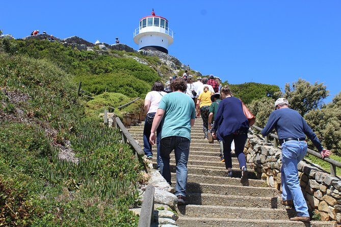 Full-Day Tour to Cape Point and Cape of Good Hope - FAQ