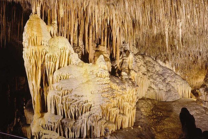 full-day-tour-to-caves-of-drach-and-hams-with-porto-cristo-and-pearl-factory
