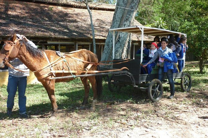 full-day-tour-to-chaco-from-asuncion