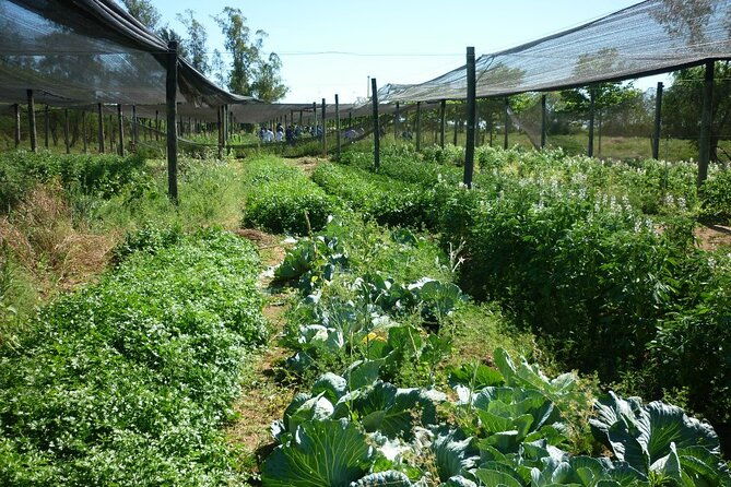 full-day-tour-to-chaco-from-asuncion