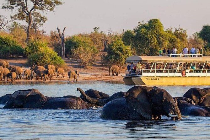 Full Day Tour to Chobe National Park and Botswana - An In-Depth Look at the Tour Experience