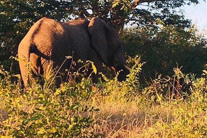 Full Day Tour to Chobe National Park and Botswana - FAQ