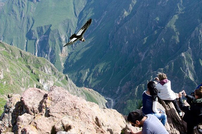 full-day-tour-to-colca-from-arequipa