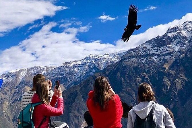 full-day-tour-to-colca-from-arequipa