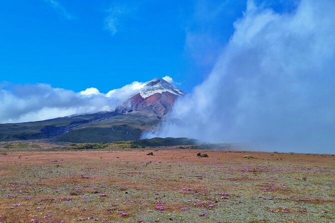 full-day-tour-to-cotopaxi-volcano-from-quito