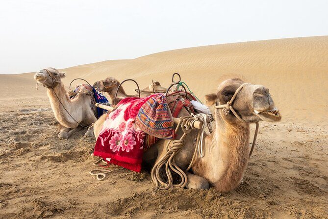 Full Day Tour to Desert Trip in Agadir with Lunch - The Itinerary: What to Expect at Each Stop  