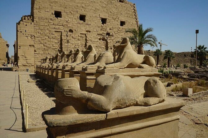 Full Day Tour to East and WestBanks of Luxor (Private) - Key Points