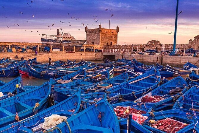 Full Day Tour To Essaouira from Marrakech - Key Points