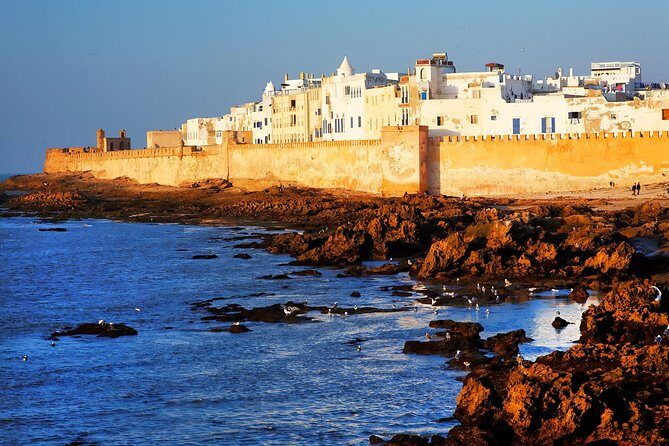 Full-Day Tour to Essaouira - The Ancient Mogador City from Marrakech - Key Points