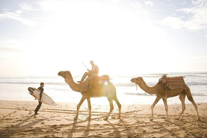 Full-Day Tour to Essaouira - The Ancient Mogador City from Marrakech - Who Will Love This Tour?