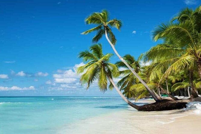 full-day-tour-to-isla-saona-and-altos-de-chavon