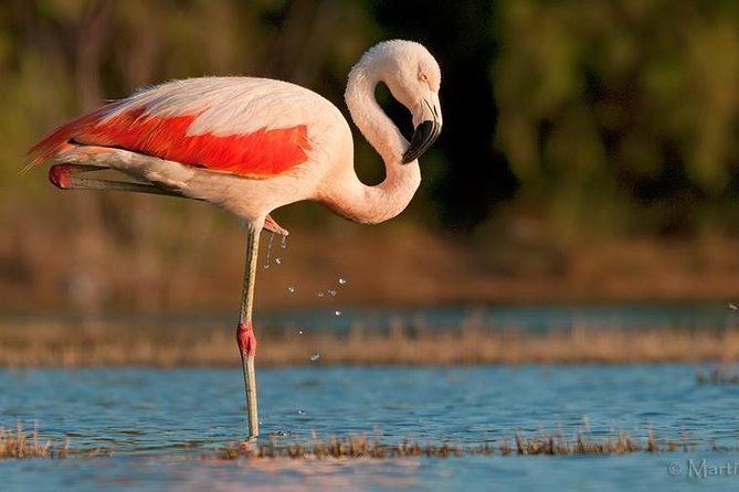 full-day-tour-to-laguna-de-los-pozuelos-from-tilcara
