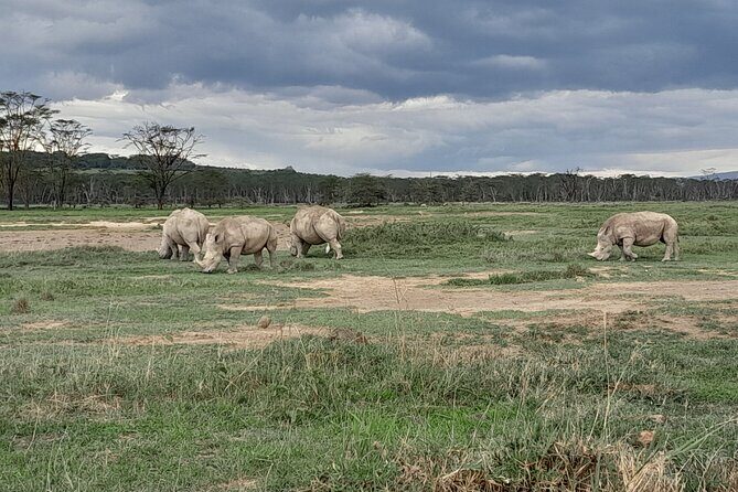 Full Day tour to Lake Nakuru National Park From Nairobi - Final Thoughts