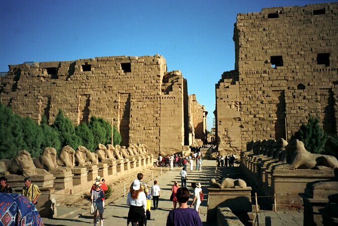 Full Day Tour to Luxor from Cairo by Plane with King Tut Tomb - Final Words