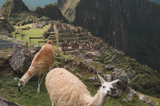 full-day-tour-to-machu-picchu