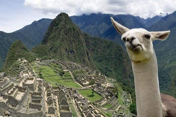 full-day-tour-to-machu-picchu-from-cusco-4
