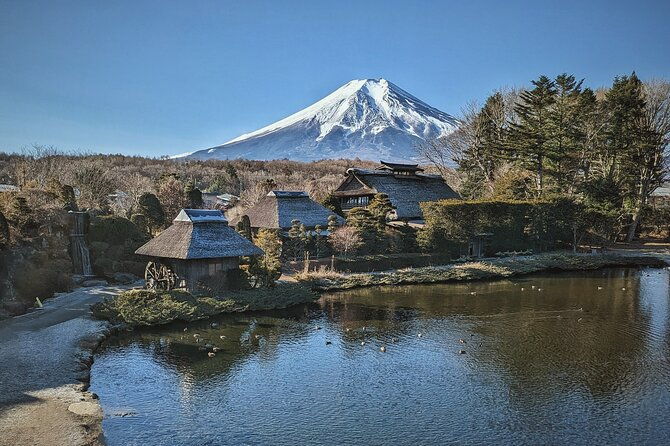 full-day-tour-to-mount-fuji-with-guide-in-spanish