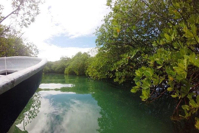 full-day-tour-to-punta-rucia-and-cayo-arena-with-snorkeling