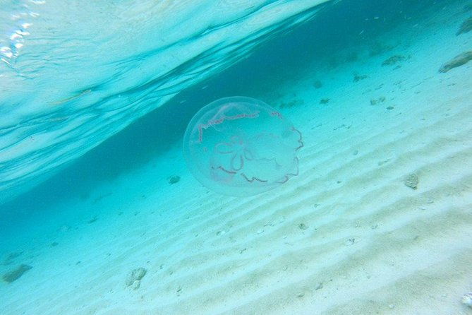 full-day-tour-to-punta-rucia-and-cayo-arena-with-snorkeling