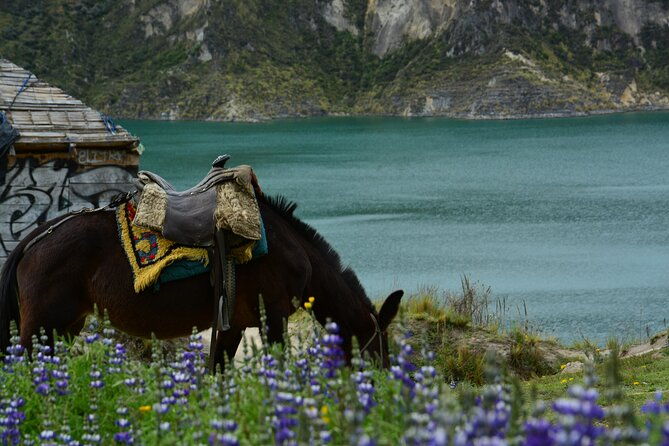 full-day-tour-to-quilotoa-lagoon-from-quito-with-lunch