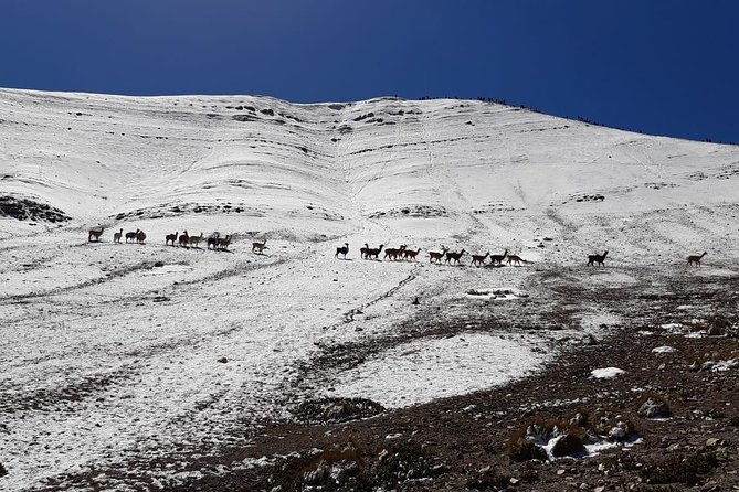 full-day-tour-to-rainbow-mountain-group-visit