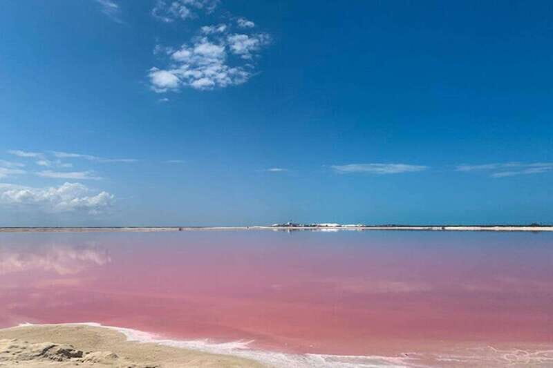 Full-Day Tour to Rio Lagartos and Coloradas with - Key Points