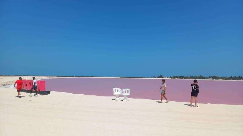 Full-Day Tour to Rio Lagartos and Coloradas with - The Journey Begins: Pickup and Transportation