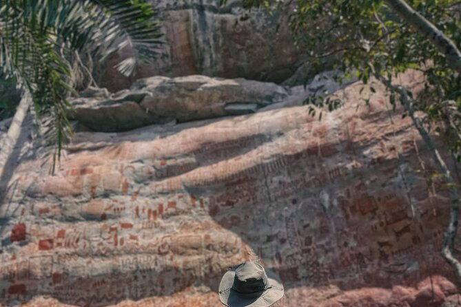 full-day-tour-to-rock-paintings-in-cerro-azul-guaviare