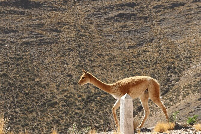 full-day-tour-to-salinas-grandes-and-purmamarca-from-salta