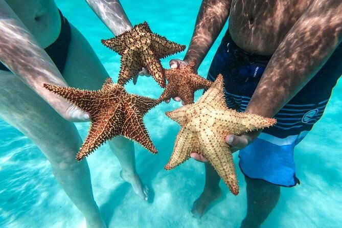 full-day-tour-to-saona-island