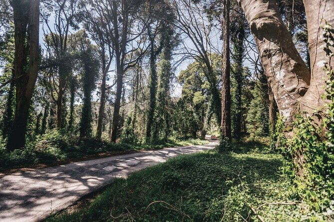 full-day-tour-to-sintra-and-cascais