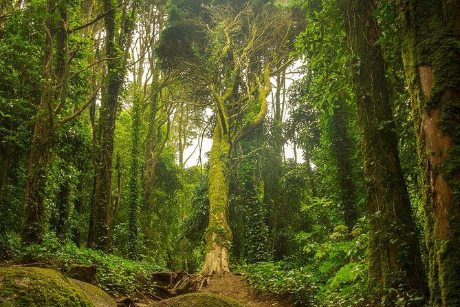 full-day-tour-to-sintra-pena-palace-cabo-da-roca-and-cascais