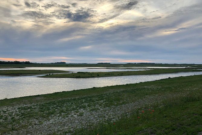 full-day-tour-to-texel-friesian-islands-from-amsterdam