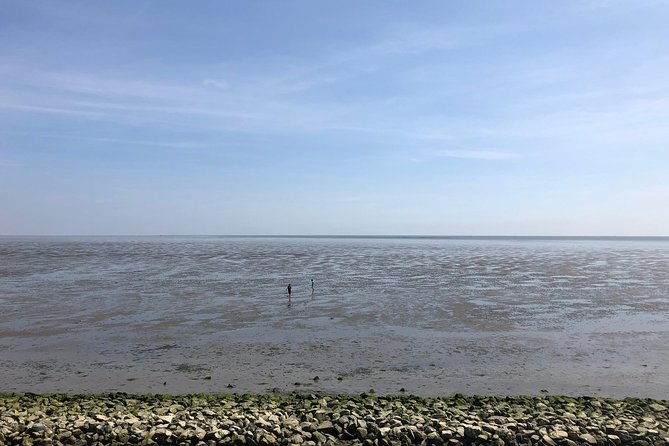 full-day-tour-to-texel-friesian-islands-from-amsterdam