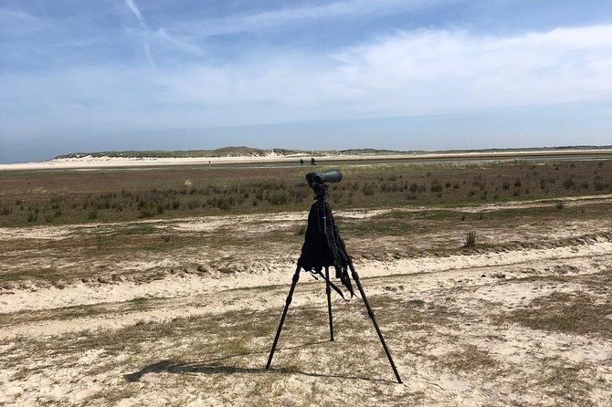 full-day-tour-to-texel-friesian-islands-from-amsterdam