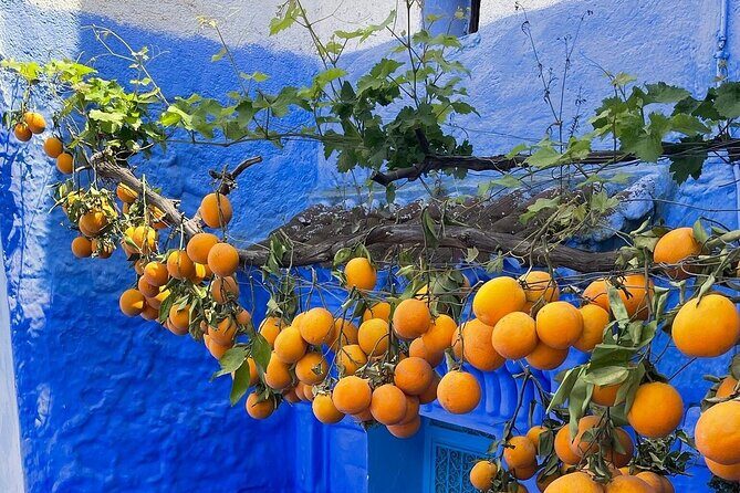 Full-Day Tour to the Blue City Chefchaouen on Small-Group - Transportation and Group Size